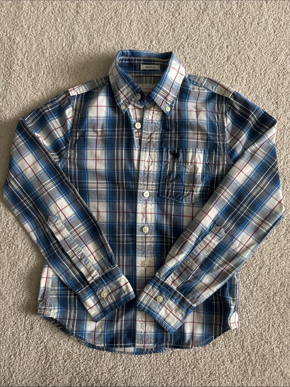 abercrombie kids Blue, White and Red Plaid Button-Down Shirt